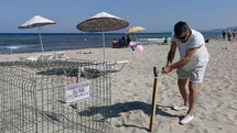 Kuşadası'nda Caretta Caretta Yuva Tespiti