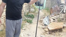 Baykan'da Yılan Paniği Yaşandı