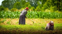 Kocaeli'de Tarıma Büyük Destek Sağlandı