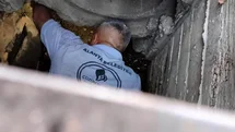 Antalya'da Kanalizasyona Düşen Kedi Kurtarıldı