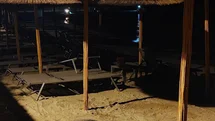 Aydın'da Caretta Caretta Hareketliliği