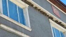 Bursa'da Kırlangıç Yuvalarını Koruma Çabası