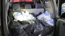 Samsun'da Kaçak Midye Ele Geçirildi