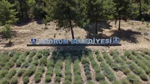 Muğla'da Gençlik Tarım Kampları Başladı