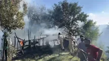 Bingöl'de Bahçe Yangını Kontrol Altına Alındı