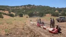 Elazığ’da Keklikler Doğaya Bırakıldı