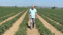 Bursa'da Üretici 20 Milyon Lira Zarar Etti