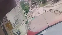 Kardeş Katliamı Zanlısı Ordu'da Teslim Oldu