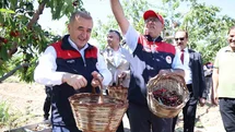 Elazığ'da Kiraz Hasadı Devam Ediyor