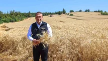Bilecik'te Buğday Üretimi Beklentisi