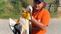 Temizlik personelinin duyarlılığı yaralı Leyleğe umut oldu
