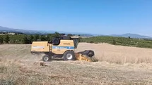 Selendi'de Hububat Hasadı Başladı