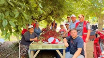 Bayındırlı gençler kiraz hasadına katıldı, üreticilere destek verdi