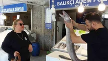 Mersin'de İlgi Çeken Yılan Balığı