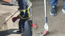 Hakkari'de Yılan Kurtarma Operasyonu
