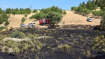 Diyarbakır'da Kuş Yangına Neden Oldu
