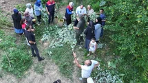 Düzce’de ıhlamur hasadı başladı