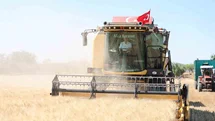 Şahinbey’de çiftçiler buğday hasadından memnun