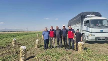 Dinar’da patates hasadı başladı