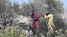 İzmir’de ormanlık alanda çıkan yangın erken müdahaleyle kontrol altında
