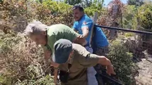 Kendini yakmak isteyen yaşlı kadın makilik alanı ateşe verdi