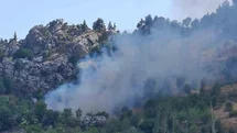 Alanya’da zirai alanda çıkan yangın söndürüldü