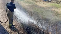 Susurluk’ta arazi ve koruluk alanda çıkan yangın söndürüldü