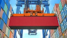 Düzce’den 4 bin 135 ton orman ürünü ihraç edildi