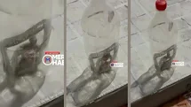 Toroslar Evrenli'de Evin İçinde Yılan Yakalandı