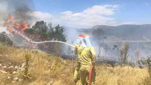 Menteşe’de makilik yangını