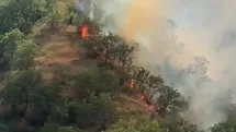 Kastamonu’da orman yangınında 40 dönümlük alan zarar gördü