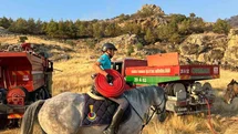 Atlı jandarmalar yangın bölgesine hortum taşıdı