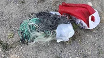 Kaçak balık avlayan 4 kişiye 66 bin lira ceza