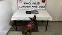 Bingöl’de haklarında kesinleşmiş hapis cezası bulunan 4 zanlı tutuklandı