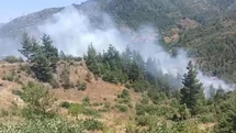 Adana’da orman yangını