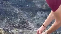 Alevlerin arasından kurtardıkları kaplumbağayı serinlettiler