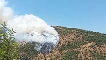Sultanhisar’da makilik ve orman yangını
