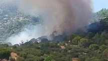 Muğla’da orman yangını