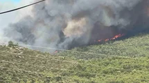 Milas’ta orman yangını