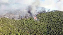 Milas'ta Orman Yangınına Müdahale Devam Ediyor