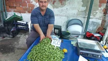 Burhaniye'de Bamya Fiyatları Yükseldi