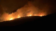 Muğla'da Orman Yangınıyla Mücadele Sürüyor