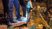 Hatay'da Mahsur Kalan Kirpi Kurtarıldı