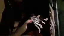 Diyarbakır'da Yangında Mahsur Kalan Kedi Kurtarıldı
