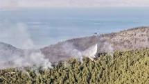 Muğla'daki Orman Yangını Kontrol Altında