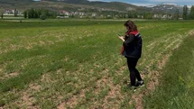 Aydıntepe'de Ürün Tespit Çalışmaları Devam Ediyor