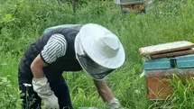 Sinop'ta Arıcılık Eğitimi Tamamlandı