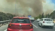 Manisa’da orman yangınında alevler İzmir-İstanbul Otoyolu’na ulaştı