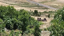 Muş'ta Piknik Yolunda Kaza