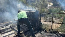 Kütahya'da Yangın 11 Güvercini Telef Etti